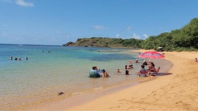 Fajardo: Hidden Beach and Mangrove Tour
