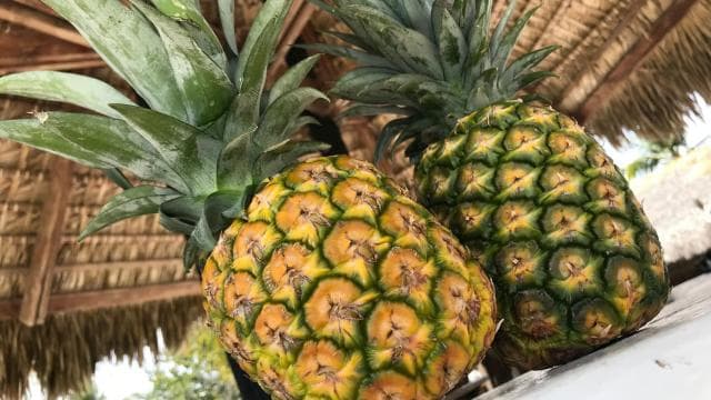 Punta Cana: Saona Island All-Inclusive Day Trip
