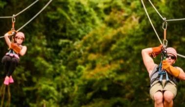 Rainforest Ziplining Adventure