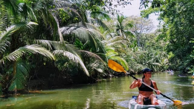 Punta Uva: Kayak and Sloth Watching Tour