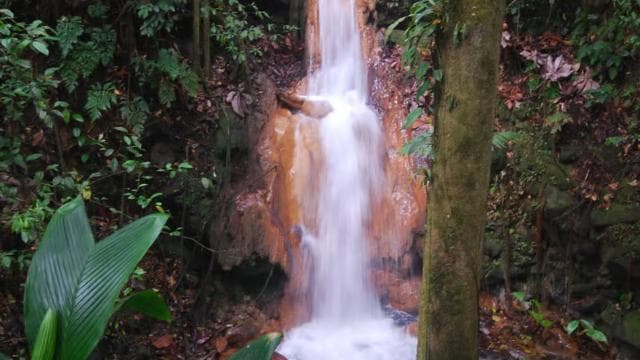 The Blue River Resort & Hot Springs: Full-Day Adventure