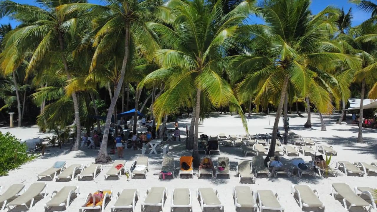 Saona Island Full Day For Small Group Catamaran VIP