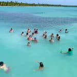 From Santo Domingo: Isla Saona Full-Day Tour with Lunch