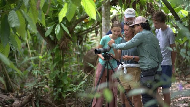 La Fortuna: Sloth & Wildlife Nature Walk