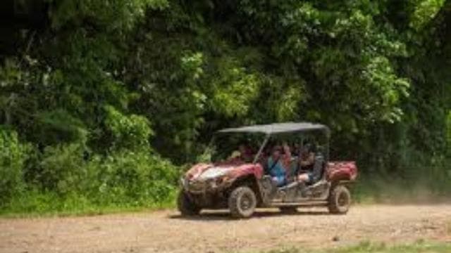 Carabalí Rainforest Park: 2-Hour UTV Adventure Tour