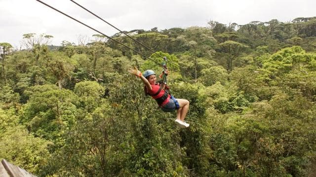 From San Jose: 6-in-1 Rainforest Bridges & Cables Adventure