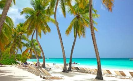 Small Group: Saona Island Full Day Tour Catamaran Open Bar