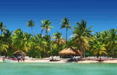 Private: Saona Island Full-Day Escape with Meals & Beverages