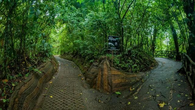 La Fortuna: Hanging Bridges Guided Tour at Mistico Park