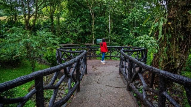 La Fortuna: Hanging Bridges Guided Tour at Mistico Park