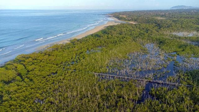 Private Avellanas Wildlife Walk