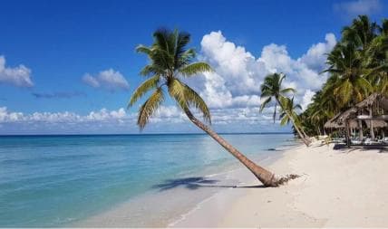 Juan Dolio: Saona Island Day Trip with Lunch & Open Bar