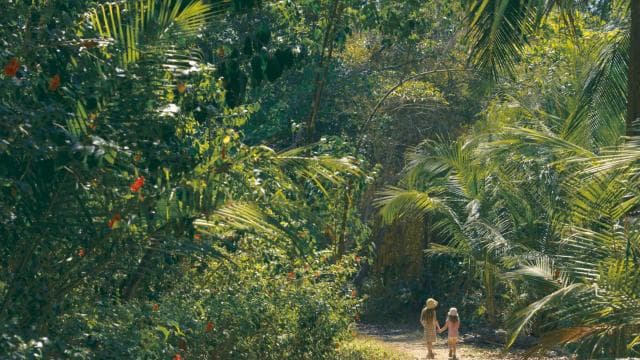 Corcovado National Park: Guided Hiking Tour - Full Day