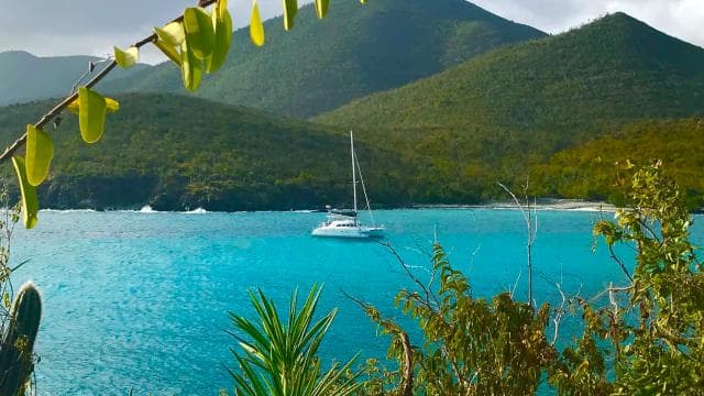Fajardo: Catamaran Day Cruise to Palomino Island with Lunch