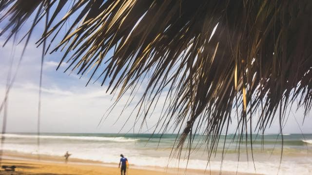 Punta Cana Surfing Experience: Surf in Dominican Republic