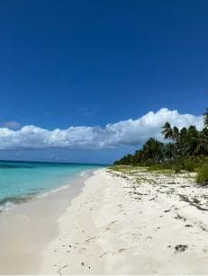 Saona Island VIP: 4 Beaches , Mano Juan & Canto de la Playa