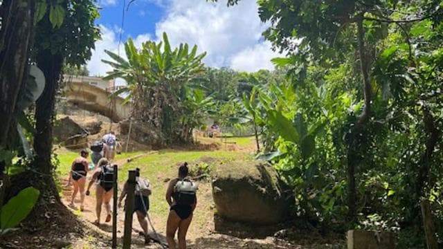 San Juan: El Yunque Waterslide & Waterfall Tour with Snacks