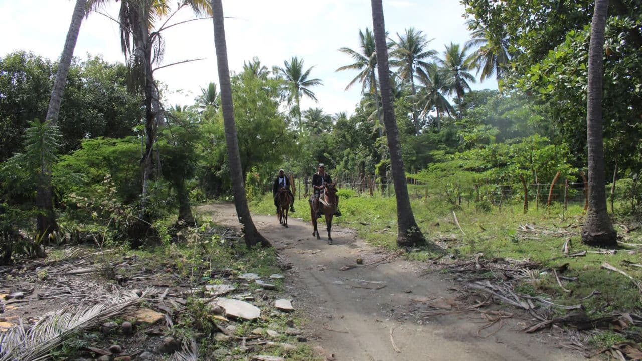 Beach horse back riding and countryside (Copy)