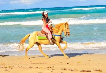 Punta Cana: Macao Beach & Forest Horseback Riding Tour