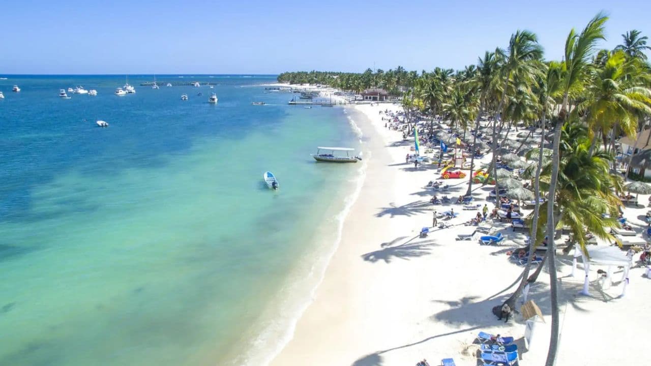 Explora la Experiencia: Tours de Punta Cana a Isla Saona