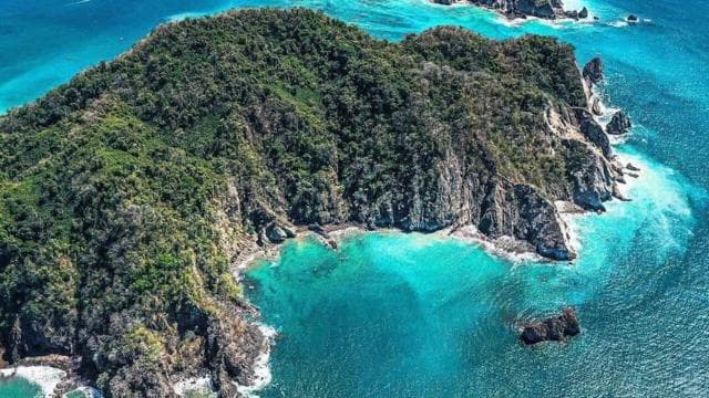 From Playa Pochote: Tortuga Island Private Tour