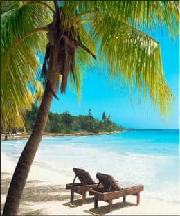 Juan Dolio: Saona Island Full-Day Tour with Lunch and Drinks