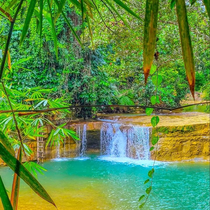 Samana: Yanigua Waterfalls Day Trip from Samaná with Ferry to Sabana de la Mar
