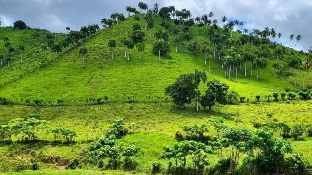 All-Inclusive Day Trip from Punta Cana: DR Culture Immersion