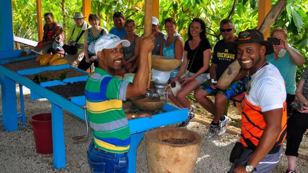 From Punta Cana: Higuey Basilica Safari Half-Day Tour