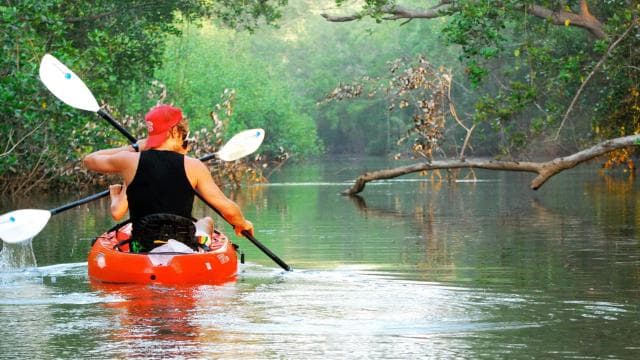 Uvita: Kayak & Snorkel Private Tour - Marino Ballena N. Park