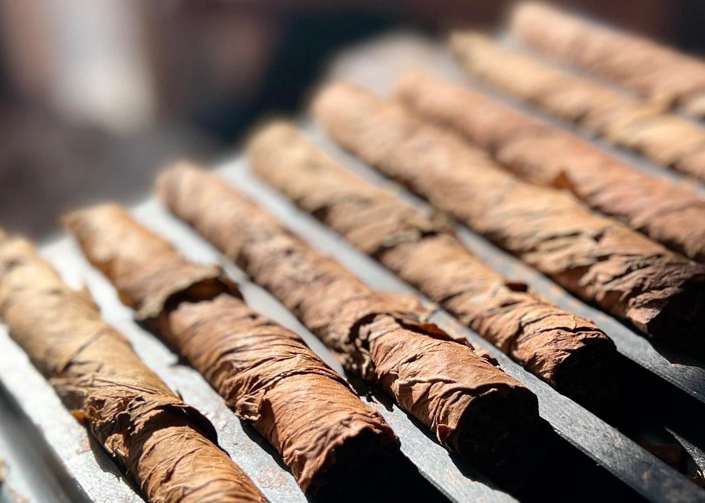 Roll Your Own Cigar in Miami