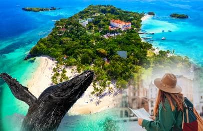 Whale Watching + Cayo Levantado