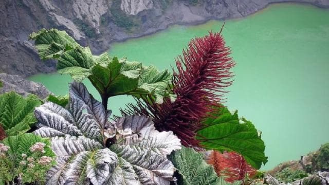 From San Jose: Irazu Volcano & Hacienda Orosi Hot Springs