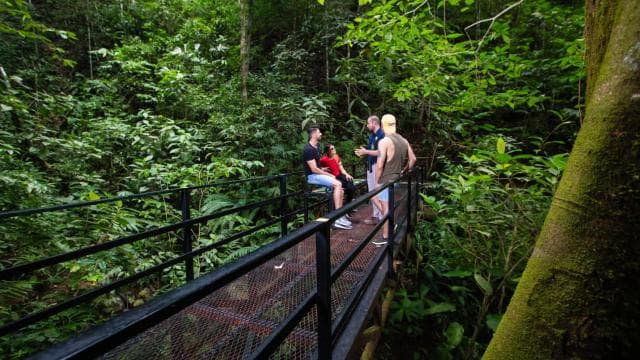 Jaco Beach: 5-in-1 Rainforest Adrenaline Adventure