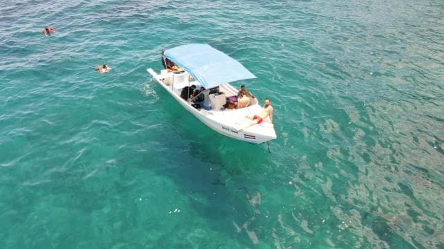 Caño Island Biological Reserve - Snorkeling or Diving