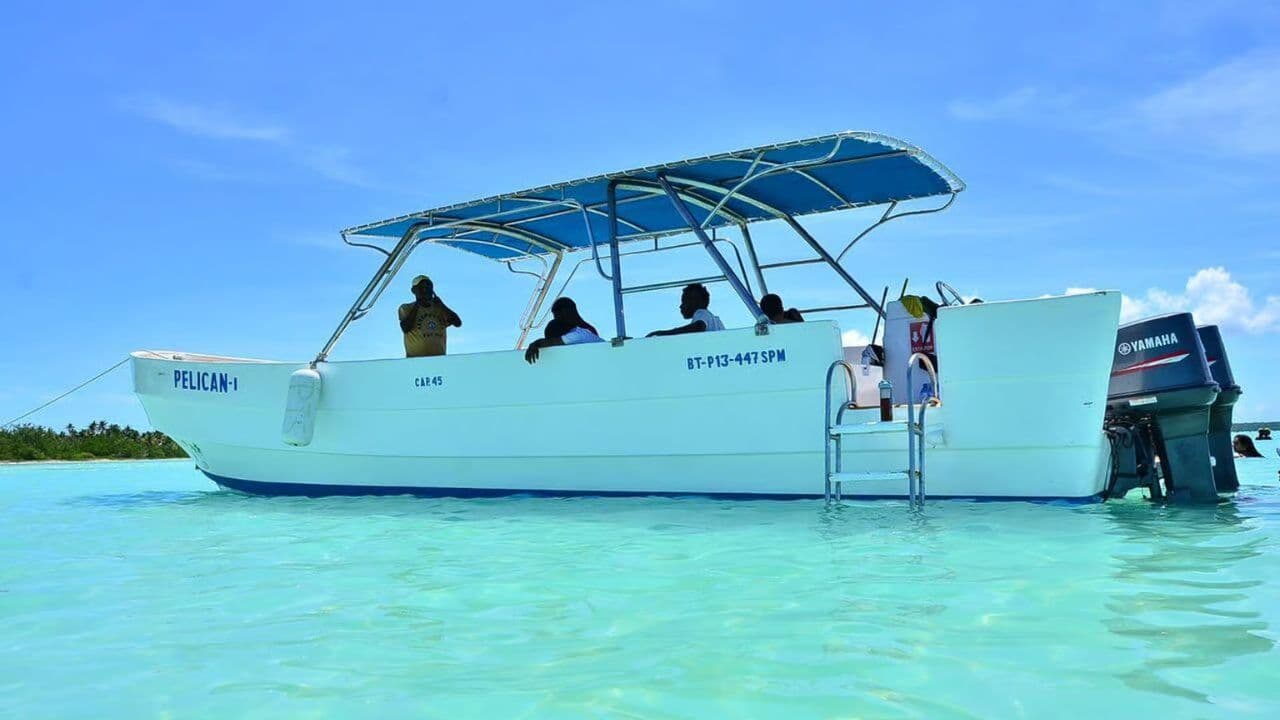 All-Inclusive Saona Island Day Trip from Punta Cana