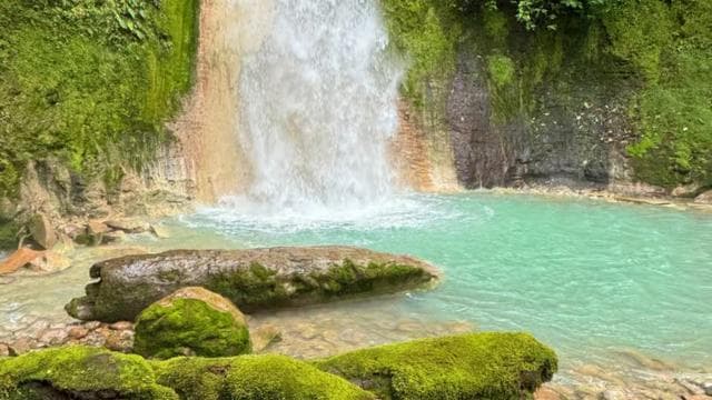 Quepos: White-Water Rafting on the Scenic Savegre River