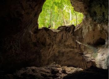 Sabana de la Mar: Los Haitises National Park Day Trip Free