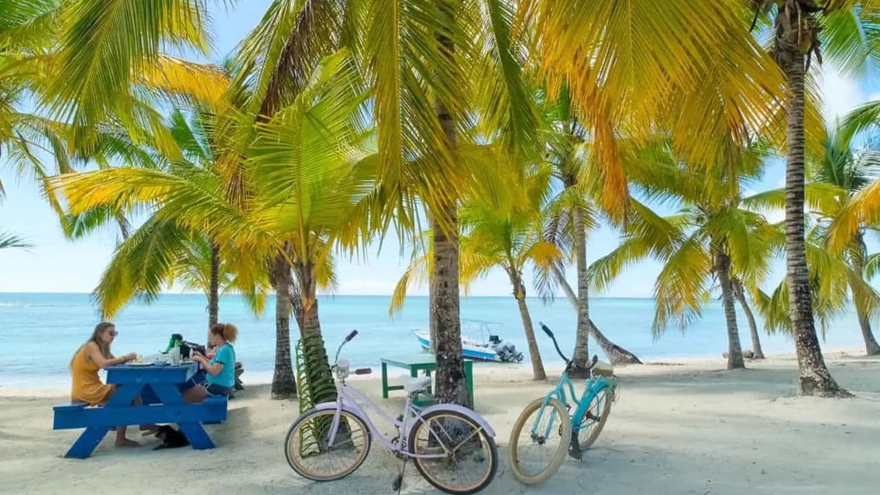 Punta Cana: Isla Saona Day Trip with Catamaran Party