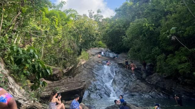 El Yunque Rainforest and Waterfalls : Greenery and Scenery