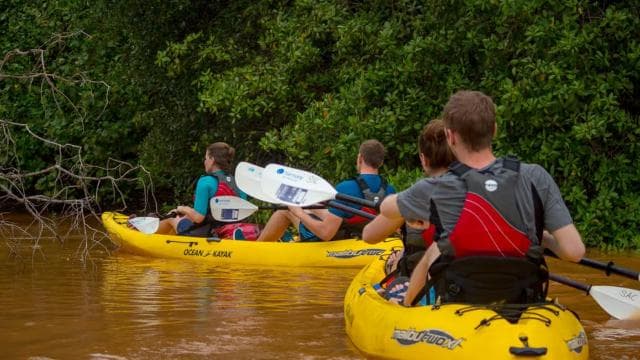 Tortuguero: Three Days & Two Nights All Included Tortuguero