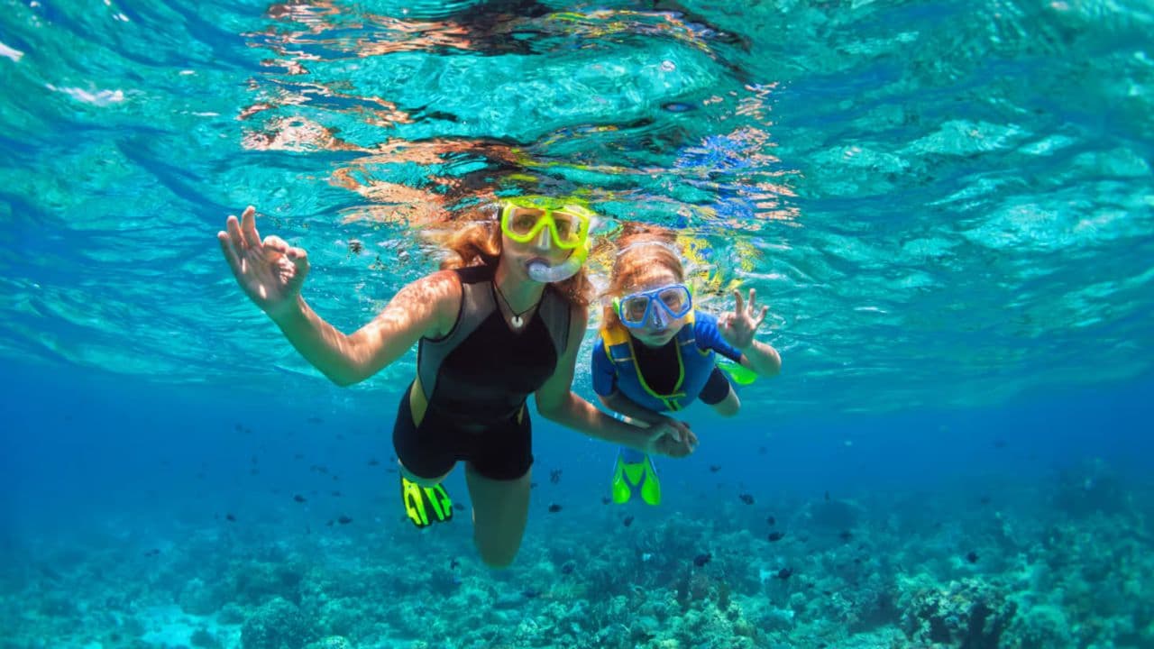 The Catalina Island Experience