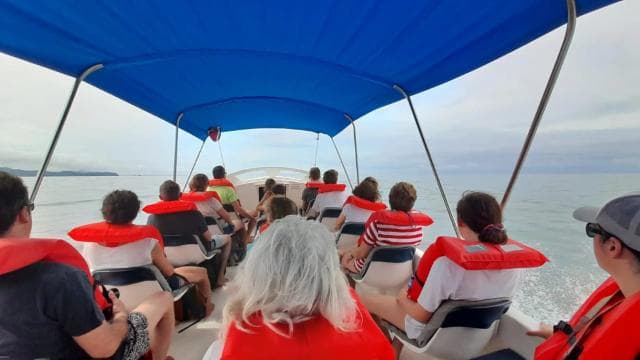 Uvita: Whale & Dolphin Watching Boat Trip w/ Drinks & Snacks