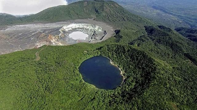 Volcan Poas: Volcan Poas National Park Flora & Fauna Tour
