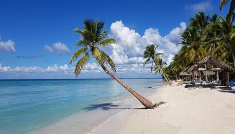 Saona Island Day Trip + Lobsters Included