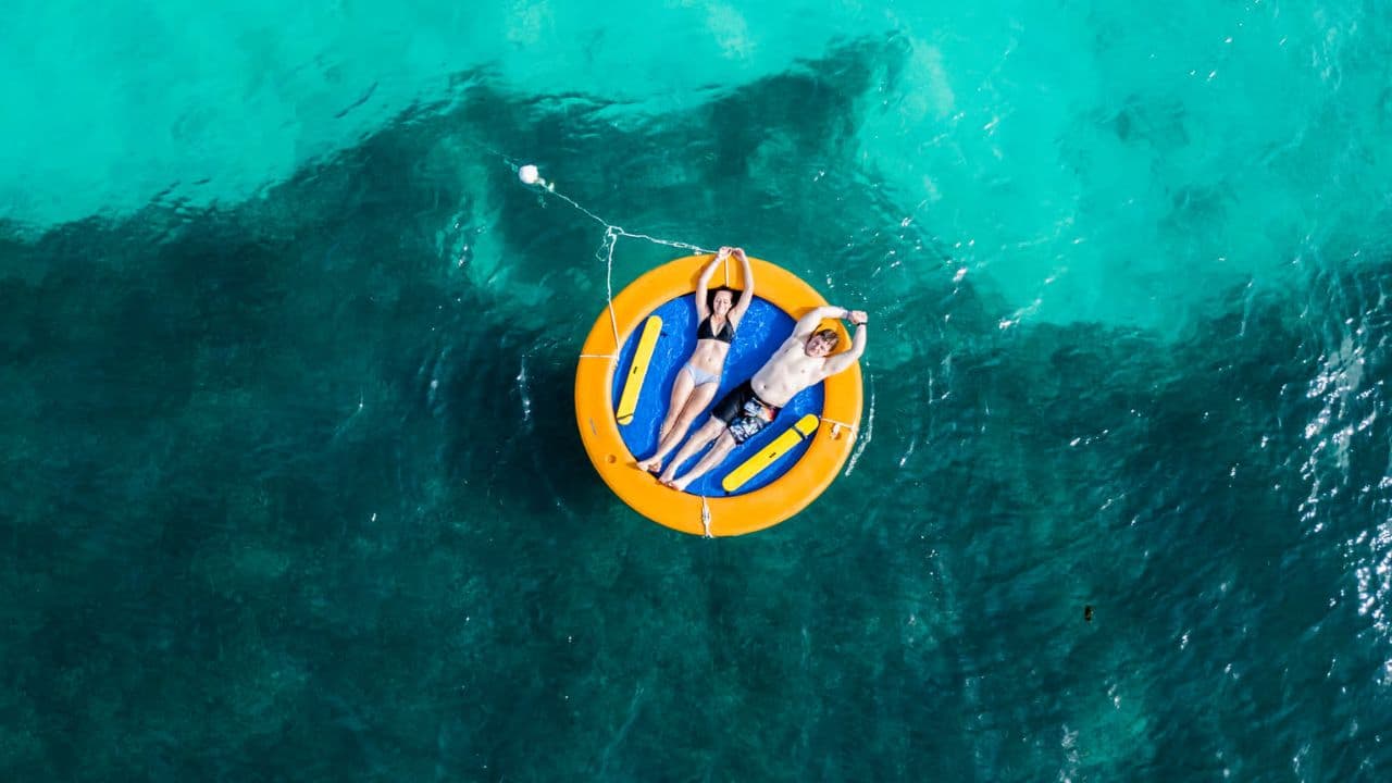 Punta Cana: Dolphin Experience in the Sea