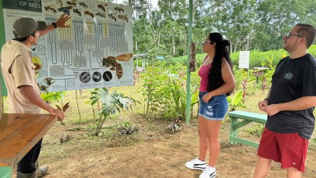 La Fortuna: Arenal Bee Garden Tour