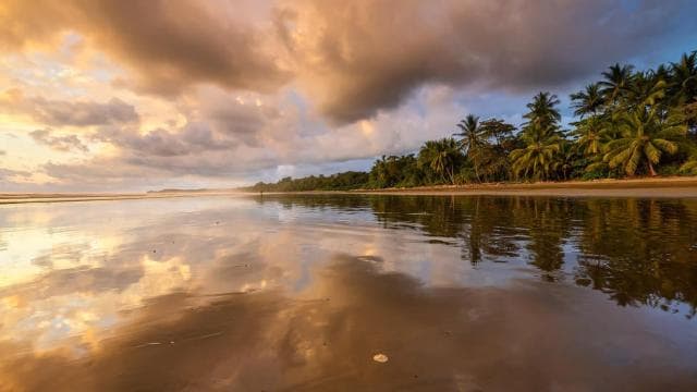 Marino Ballena National Park: Whale Watching In Uvita