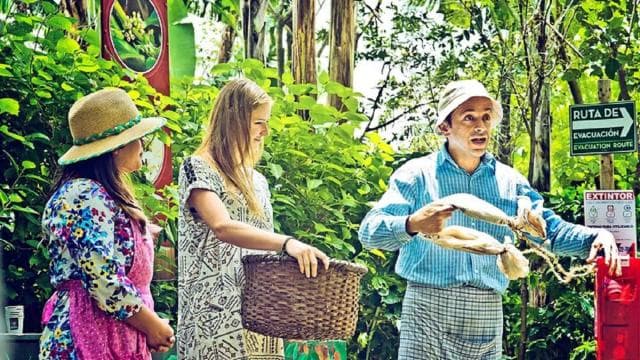 San José: Coffee Production Tour and Tasting