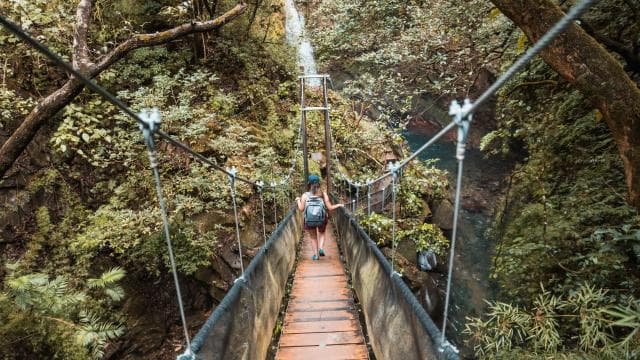 Combo: Lunch + Oropendola waterfall